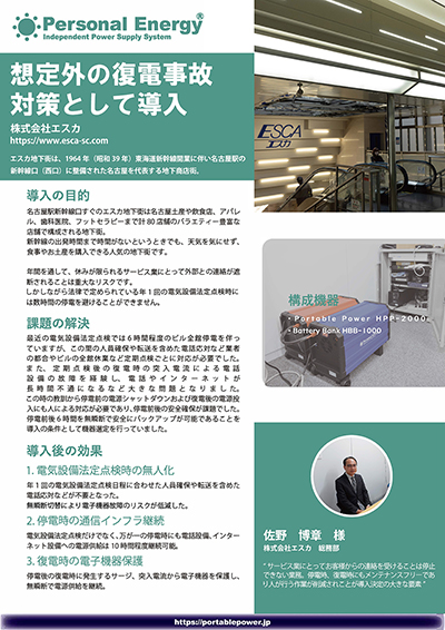 導入資料PDFのキャプチャ（クリックでダウンロード）